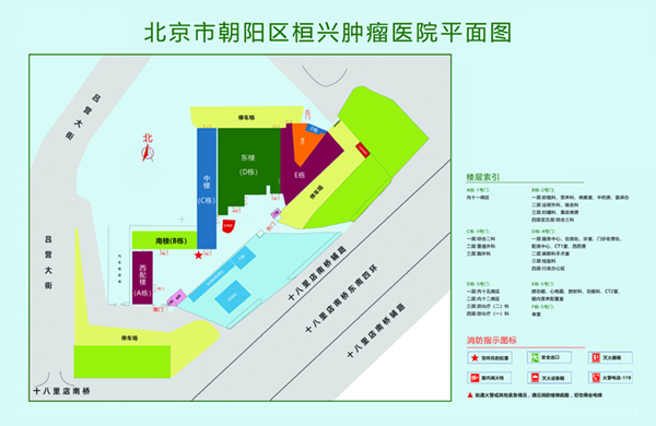 猛艹骚逼视频北京市朝阳区桓兴肿瘤医院平面图